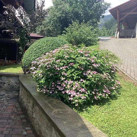 Apartment Urlaub Am Bauernhof - Zettlerhof Sankt Dionysen